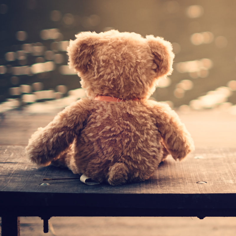 Teddy_bear_-_memorial_service_-_from_Canva.png