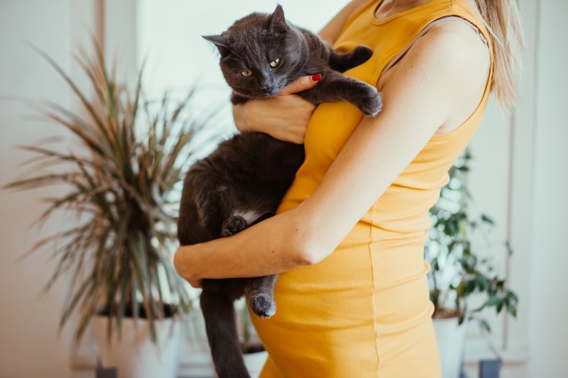 Why should a pregnant shop woman not clean litter box