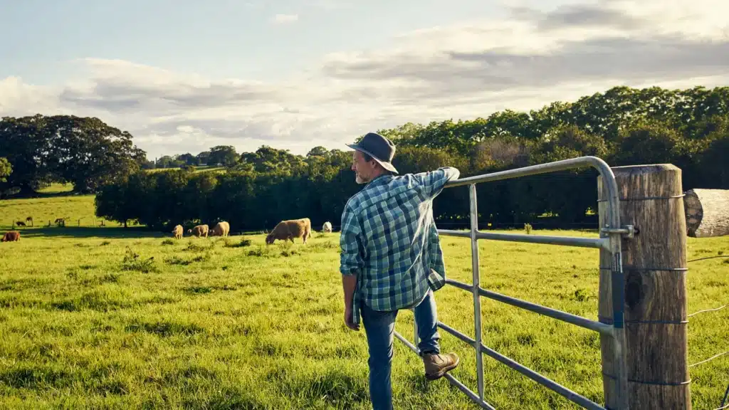 Supporting Rural and Remote Families