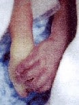 Hands 2 Wayne Bandell