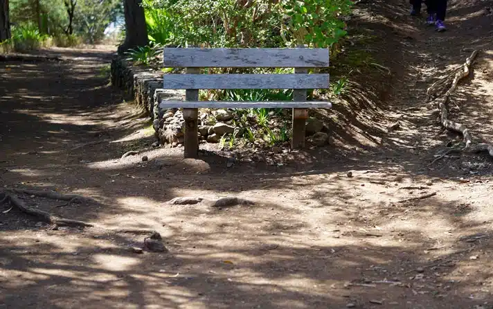 A wooden seat sits between two different walking pathways. There are trees in the background and tree roots exposed. The image represents the two pathways families can take.
