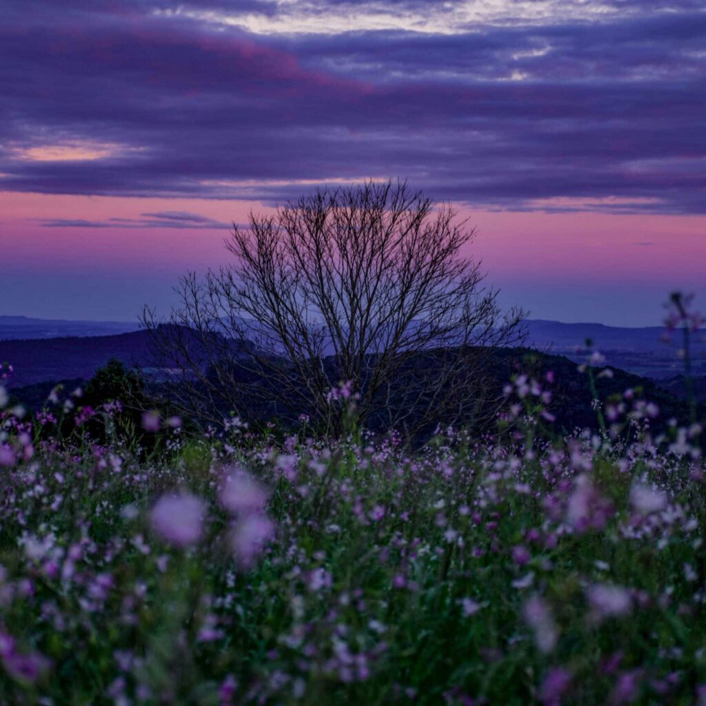 Bereaved Mother's Day