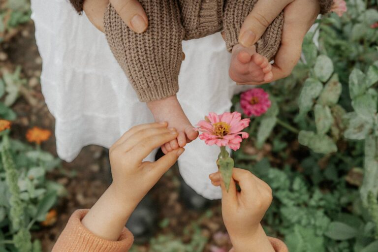 In loving memory of Sunny - Vanishing Twin Syndrome