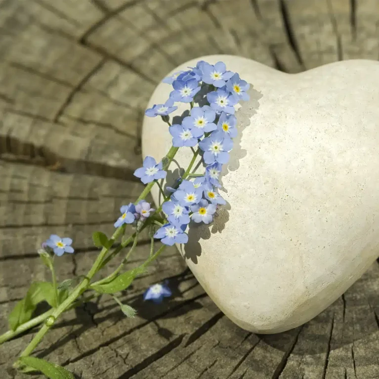 Heart shaped rock with a blue flower